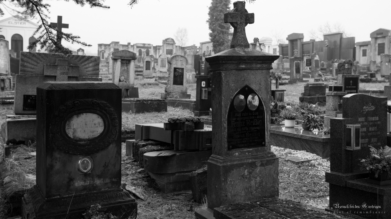 Friedhof Kavorska