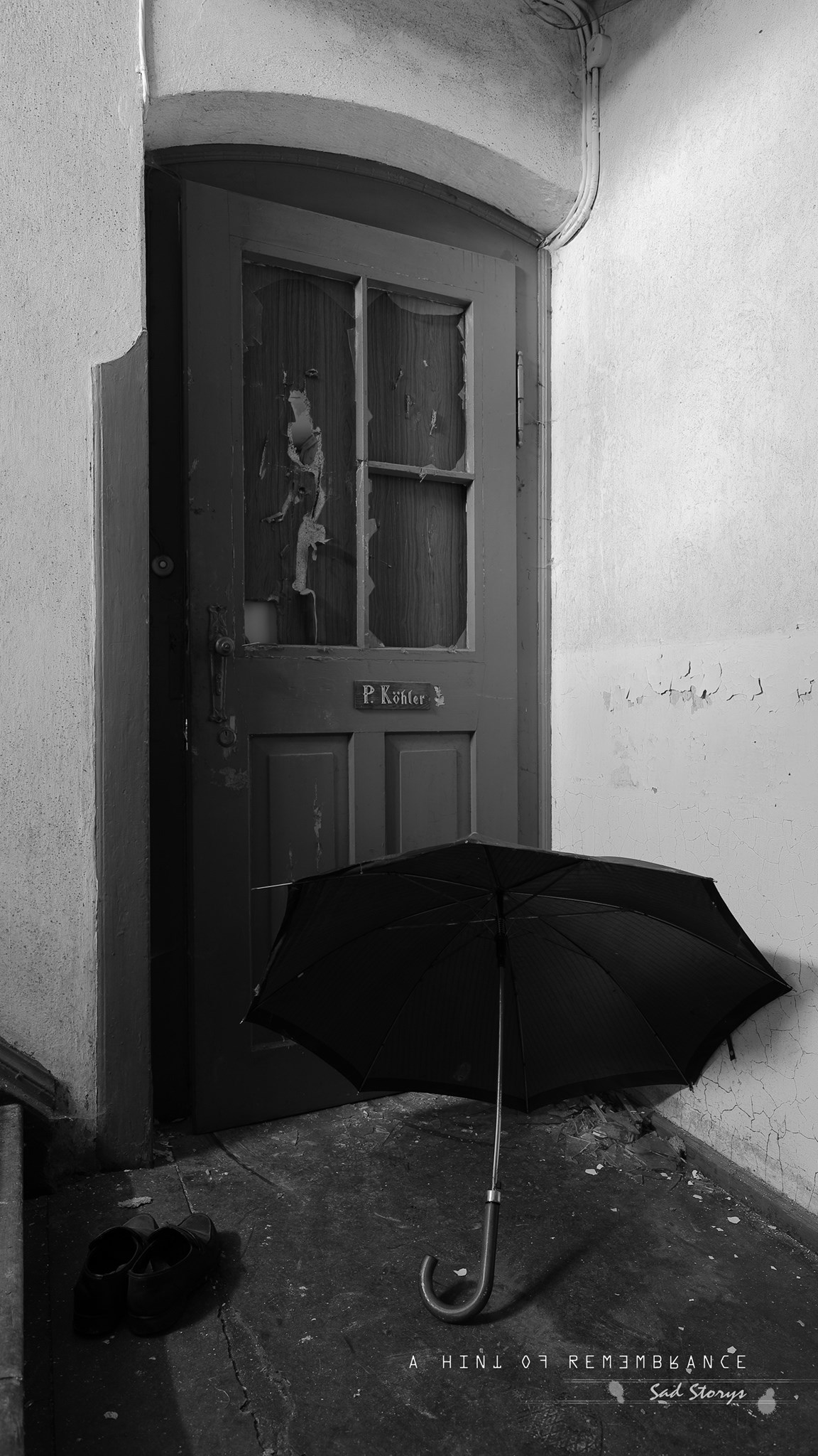 489755544_3592336711075597_6419150149747782232_n