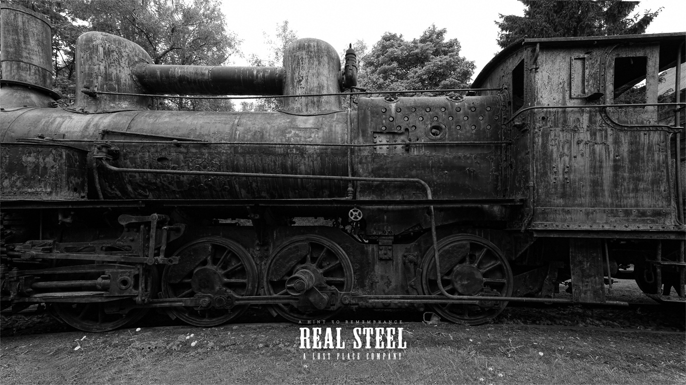 Real Steel